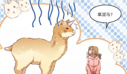 小黄书漫画,趣味横生的日常趣事