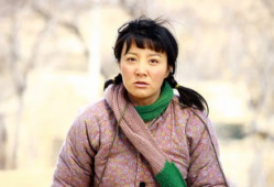 陶红电视剧,演绎人生百态，诠释情感真谛