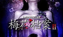电视剧梅花档案,揭秘民国谍影风云