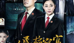 检察院电视剧,正义之剑，守护公平