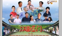 双喜盈门电视剧,家族荣耀与情感纠葛的交织传奇