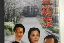 电视剧走过柳源,一段青春与梦想交织的传奇之旅