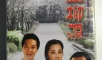 电视剧走过柳源,一段青春与梦想交织的传奇之旅