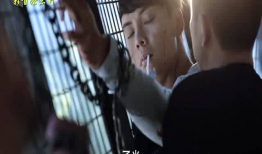 橙色年代电视剧,青春热血，梦想起航