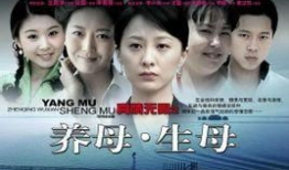 养母电视剧演员表,温情演绎母爱如山，感人肺腑的家庭故事