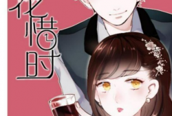 朝花惜时漫画,漫画中的青春岁月与时光流转