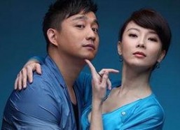 黄磊陈数演的电视剧,黄磊陈数演绎的都市情感传奇