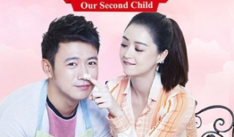 蒋欣主演的电视剧,情感纠葛与命运抉择的悲喜人生