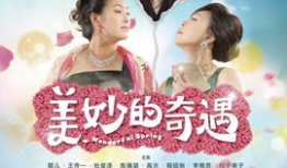 美妙的奇遇电视剧全集,穿越时空的奇幻之旅