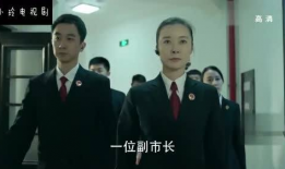 检察院电视剧,正义之剑，守护公平