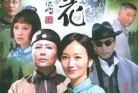 古董电视剧,穿越时空的传奇收藏
