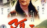 阿霞电视剧演员表,实力派明星齐聚一堂，演绎感人至深的故事