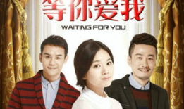 阿霞电视剧演员表,实力派明星齐聚一堂，演绎感人至深的故事