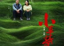 小草青 青电视剧全集,青春岁月的温暖回忆