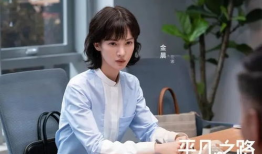 平凡之路电视剧,探寻人生百态，谱写青春华章